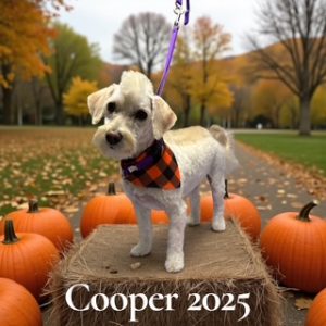 grooming-gal-dec-25-8