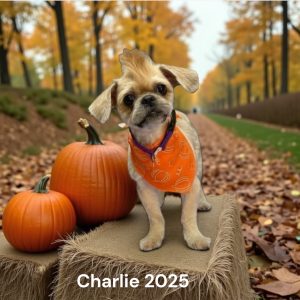 grooming-gal-dec-25-9